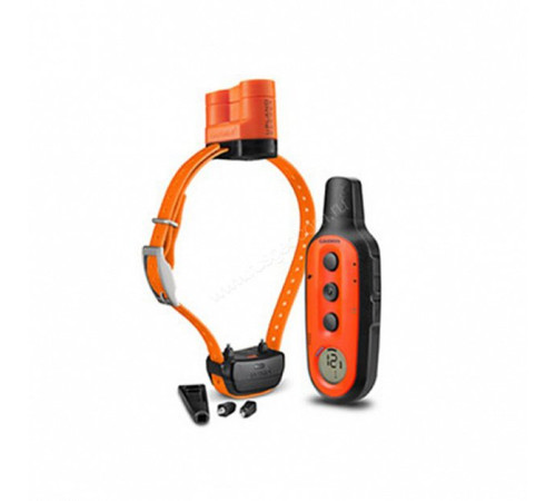 GPS-ошейник Garmin Delta Upland XC System, Bundle EU