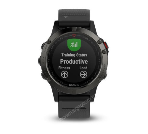 Часы с GPS Garmin Fenix 5 серые с черным ремешком и HRM-Tri