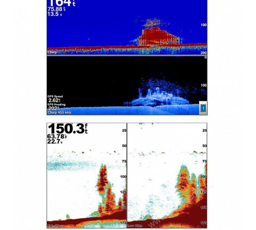 Эхолот Garmin GSD 25