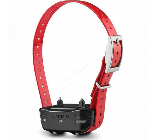 GPS-ошейник Garmin PT10 Dog Device