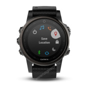Часы с GPS Garmin Fenix 5S Sapphire черные с черным ремешком